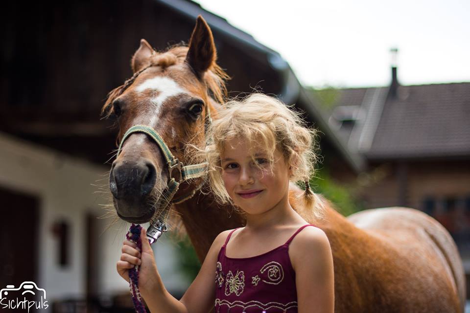 Ponys und Ponyreiten